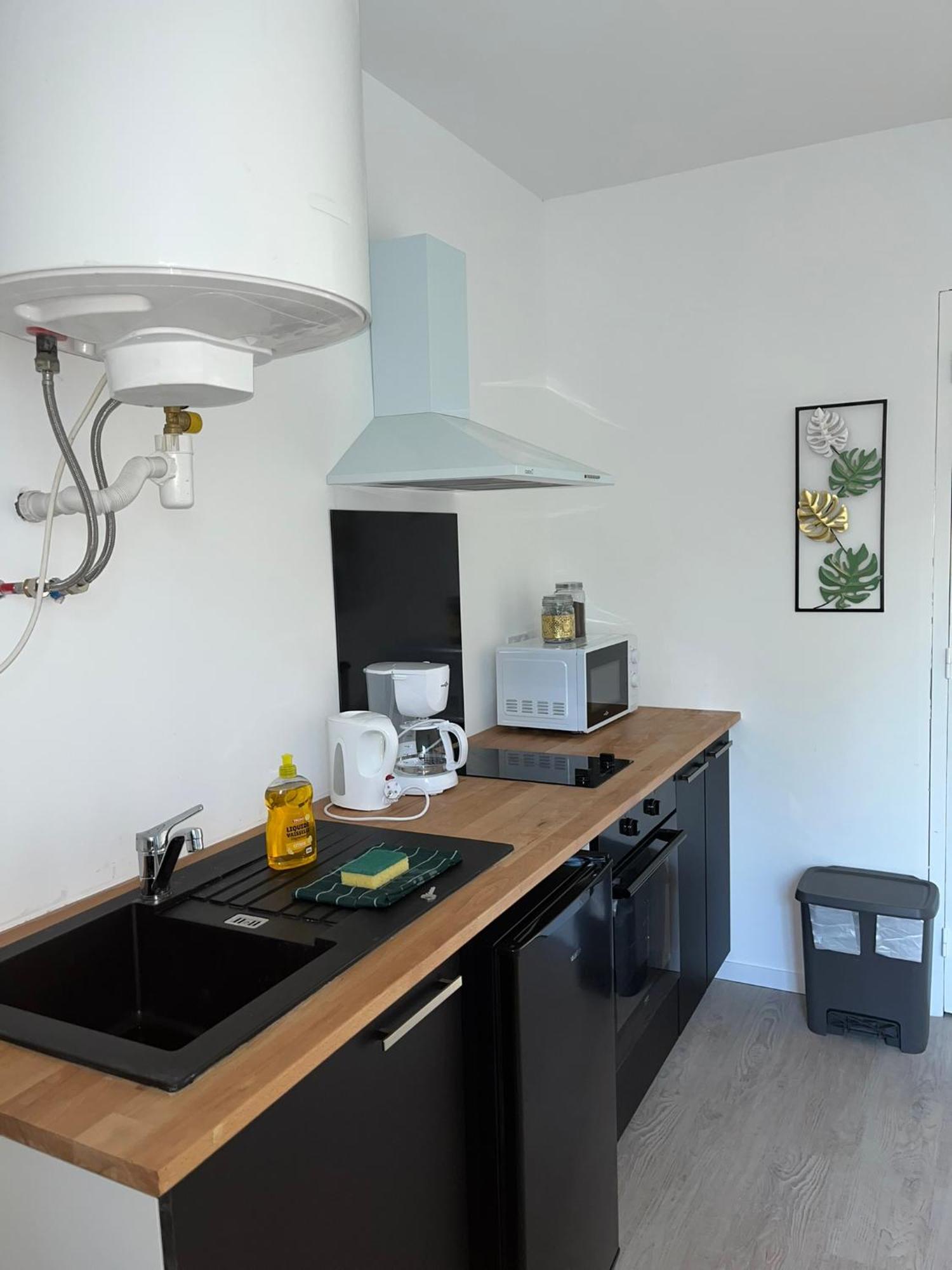 Studio Tropical , Vierzon , Proche Gare , Tout Confort Exterior foto